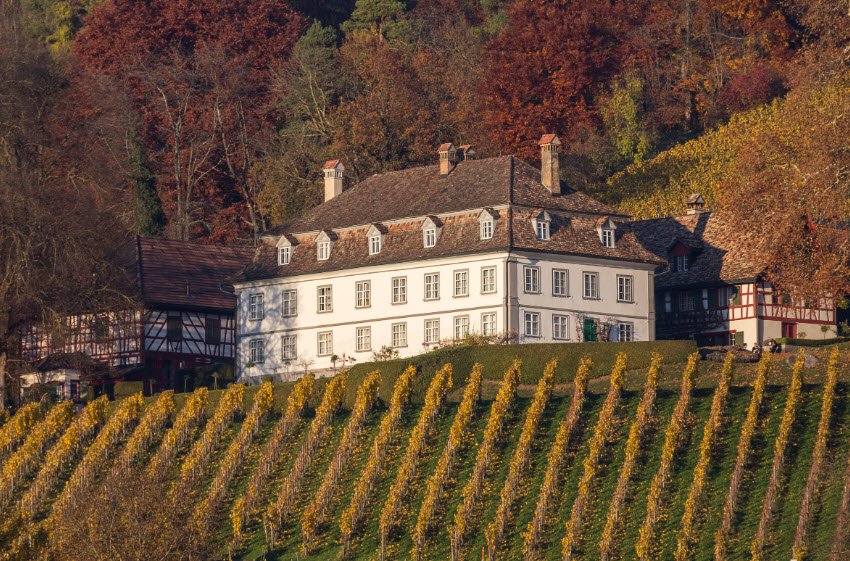 Schlossgut Bachtobel, Weinfelden, Switzerland, Switzerland